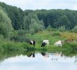 BAP Voorjaarssymposium en algemene ledenvergadering