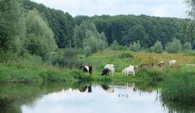 BAP Voorjaarssymposium en algemene ledenvergadering